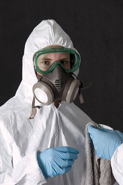 Professional Mold Removal in Sugarland Run, VA